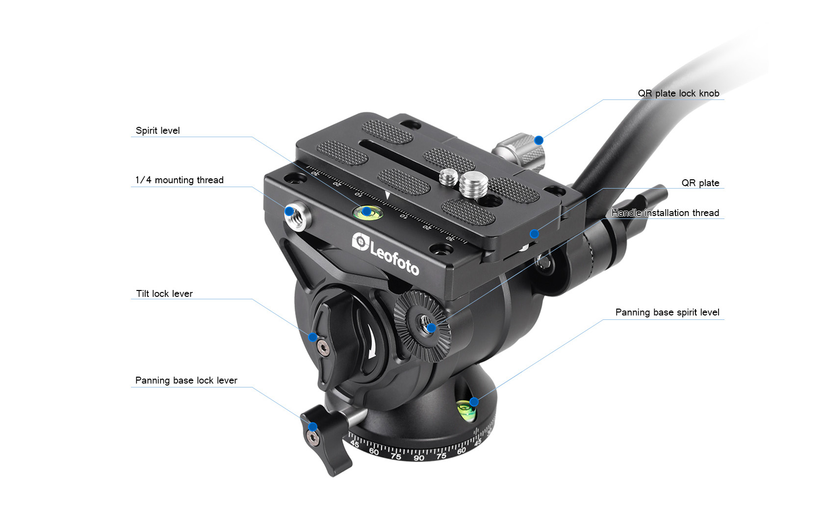 Leofoto BV 10 Videokopf2